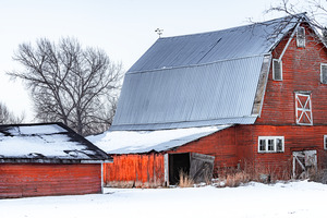 Red Barn Winter Scene