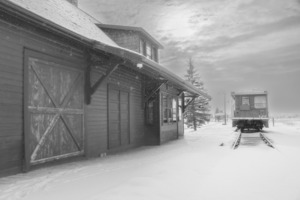 Snowed In