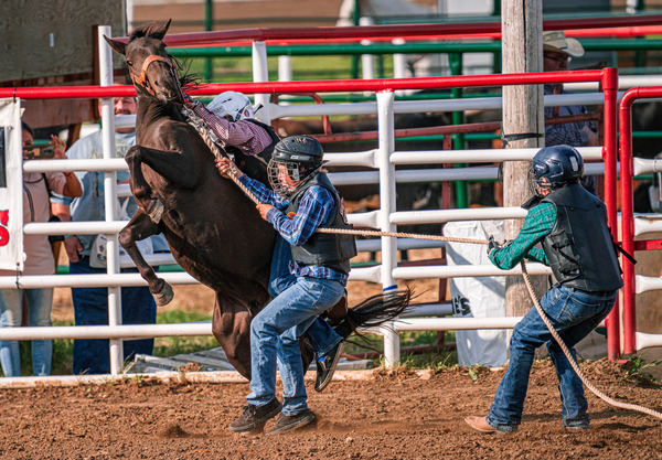 Rodeo Time Print