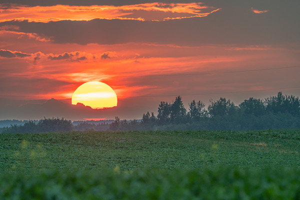 Setting Sun Print