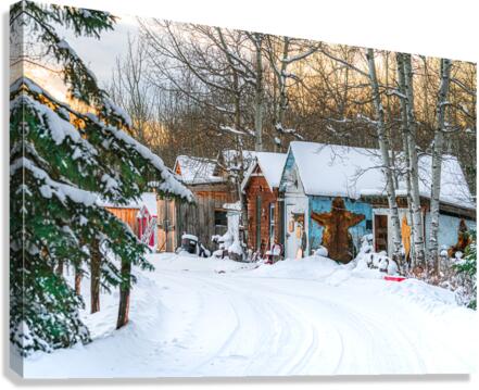 Bearskin Canvas Print