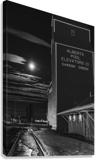 Grain Elevator BW Canvas Print