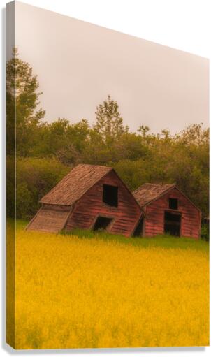 Lean On Me Canvas Print