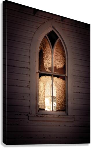 The Window Canvas Print