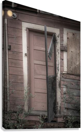 Doors1 Canvas Print