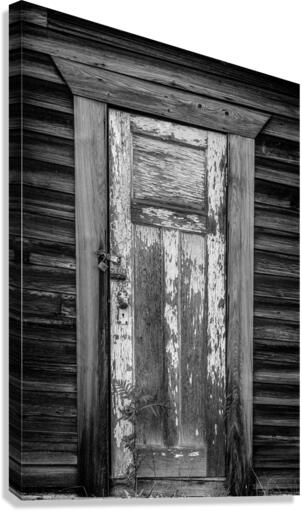 Doors2 Canvas Print
