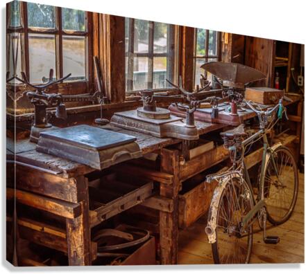 The Bicycle Canvas Print