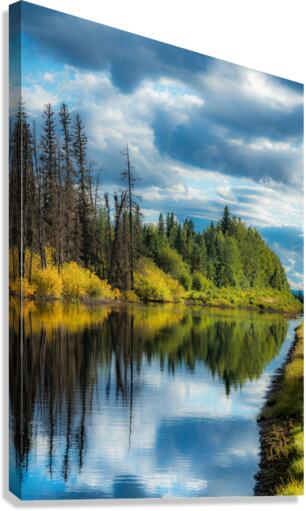 Beaver Pond Canvas Print