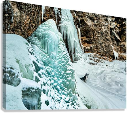 Frozen Falls Canvas Print