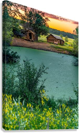 Green Pond Canvas Print