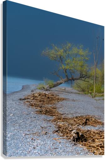 Newcastle Beach Canvas Print
