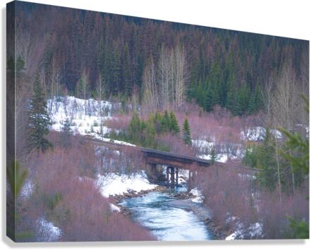 Pine River Canvas Print