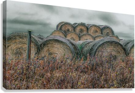 Round Bales Canvas Print