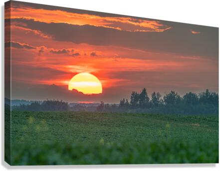 Setting Sun Canvas Print