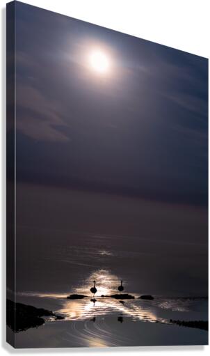 The Eclipse Canvas Print