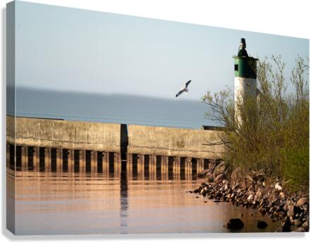 The Lighthouse Canvas Print