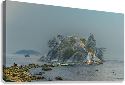 The Rock Canvas Print
