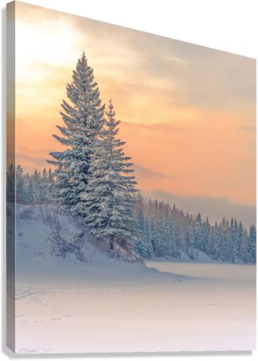 Winter Serenity Canvas Print