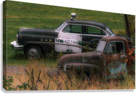 Busted Canvas Print