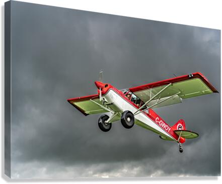 Gaining Altitude Canvas Print