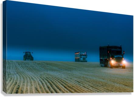On the Fields Canvas Print