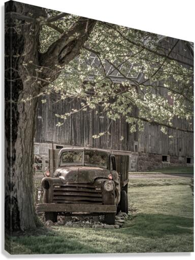 Under the Tree Canvas Print