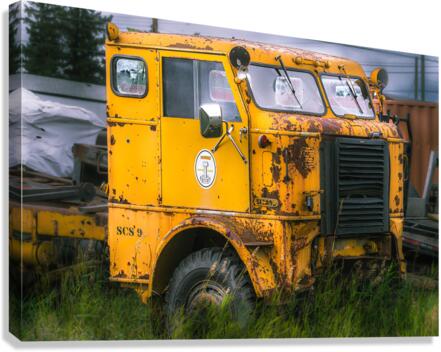 Yellow Beast Canvas Print