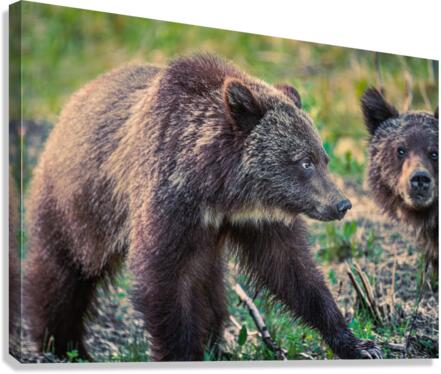 Siblings Canvas Print