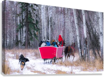 Chasing the Sleigh Canvas Print