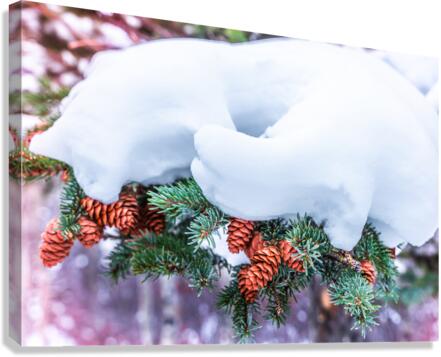 The Boot Canvas Print