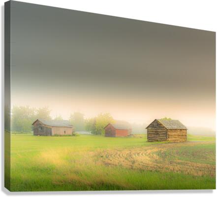 Summer Storm Canvas Print