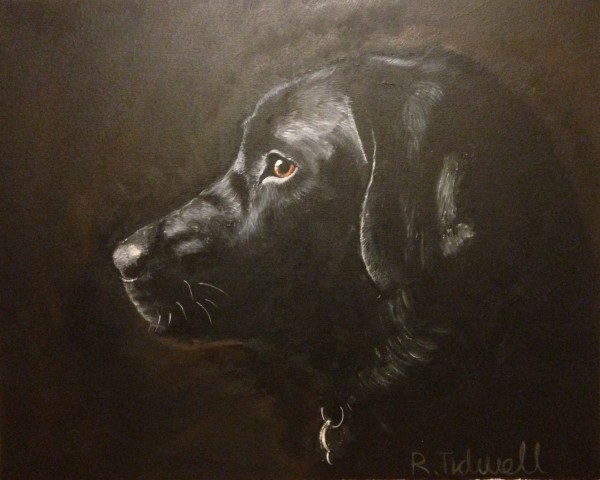 Black Labrador Print