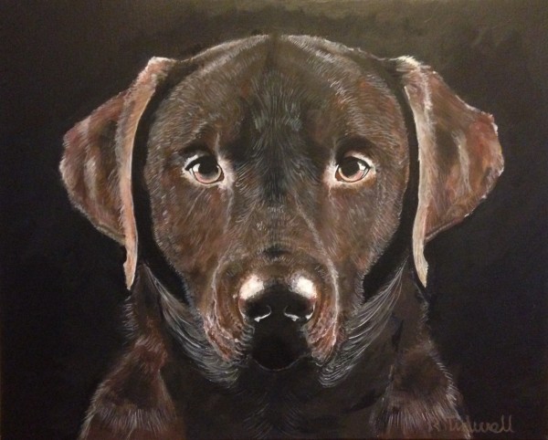 Chocolate Labrador Print