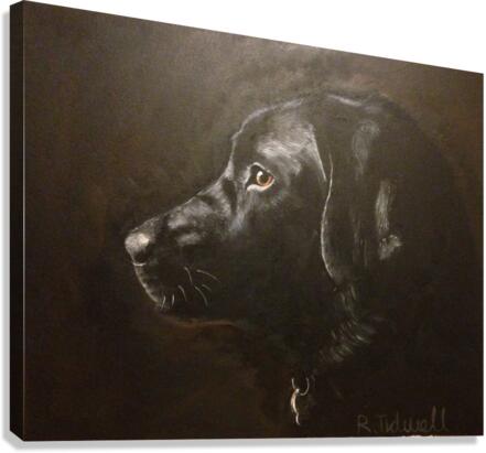 Black Labrador Canvas Print