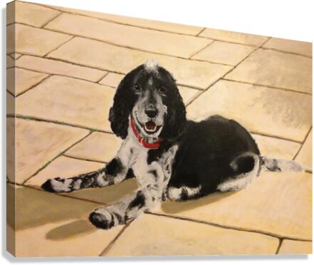 Cocker Spaniel Canvas Print