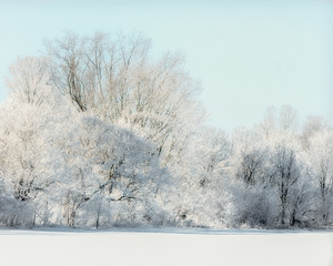 SNOWDAY