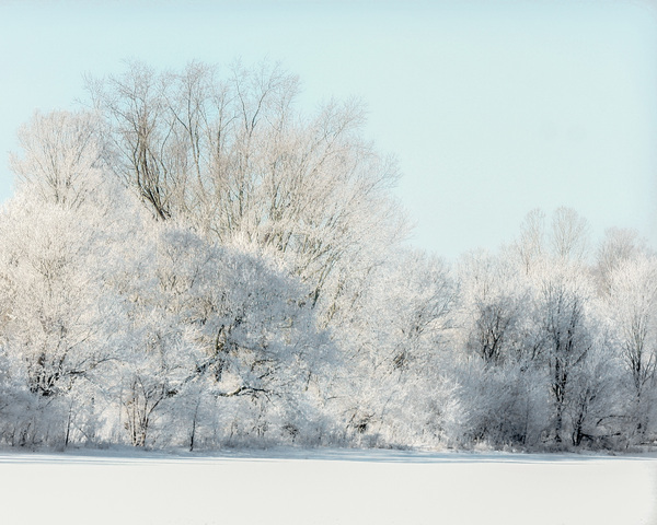 SNOWDAY Print