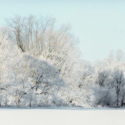 SNOWDAY