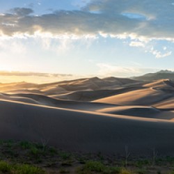 Dunefield Sunset