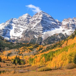Winter and Fall