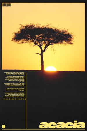 ACACIA