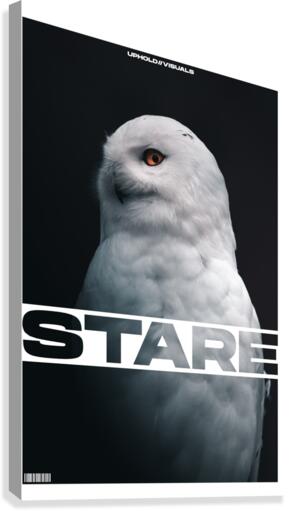 STARE Canvas Print