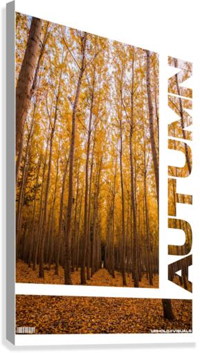 AUTUMN Canvas Print