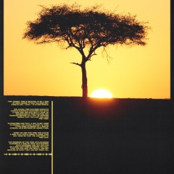 ACACIA