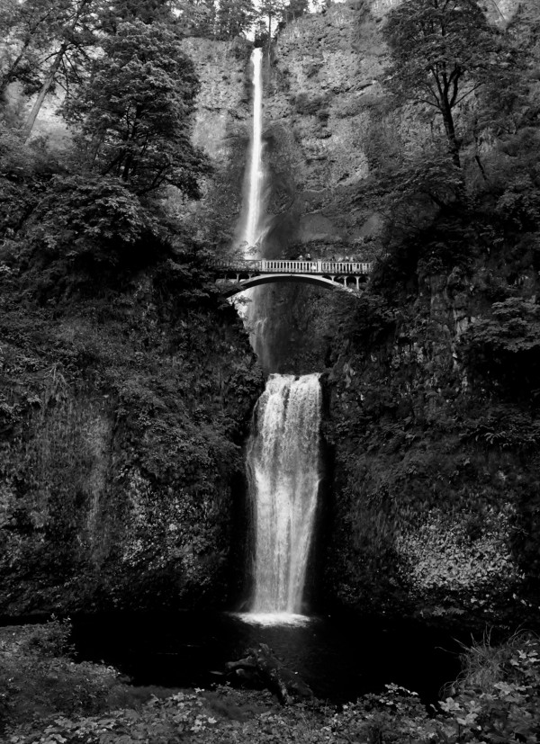 Multnomah Falls Print