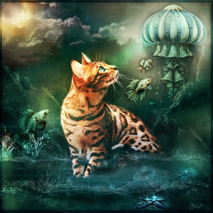 Beyond Kitty s Gaze