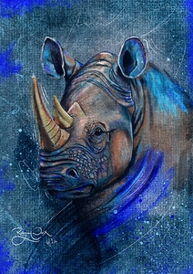 Colour Me Rhino