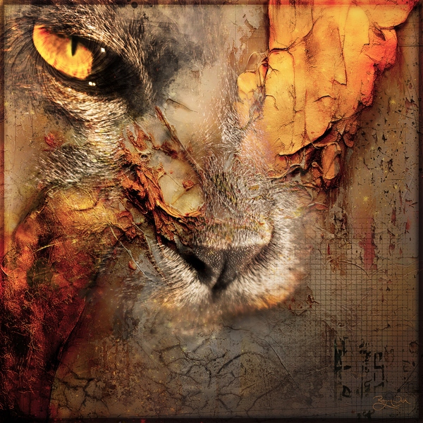 The Cat Knows by RobzLipner