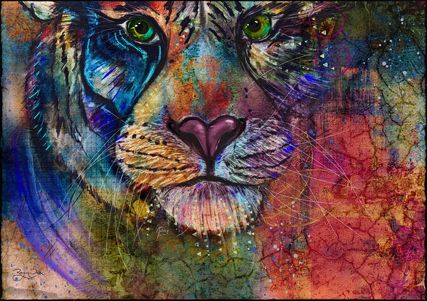 Joseph Tiger by RobzLipner