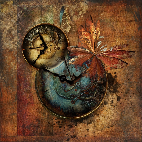 Time Flies by RobzLipner